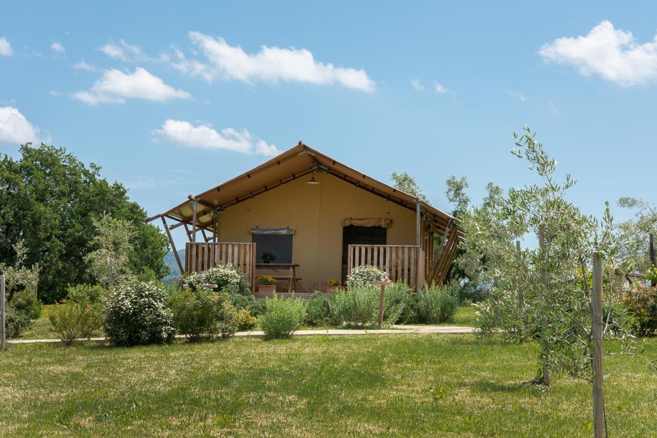 Agriturismo L'Antica Fornace Peccioli Bagian luar foto