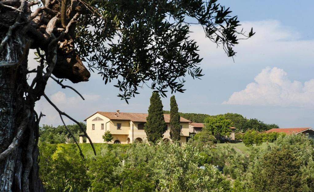 Agriturismo L'Antica Fornace Peccioli Bagian luar foto